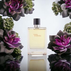 TERRY D' HERMES EDT 100ML FOR MEN